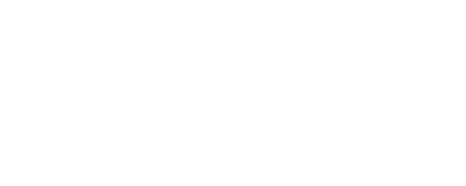 Logo-Voltage-Blanc